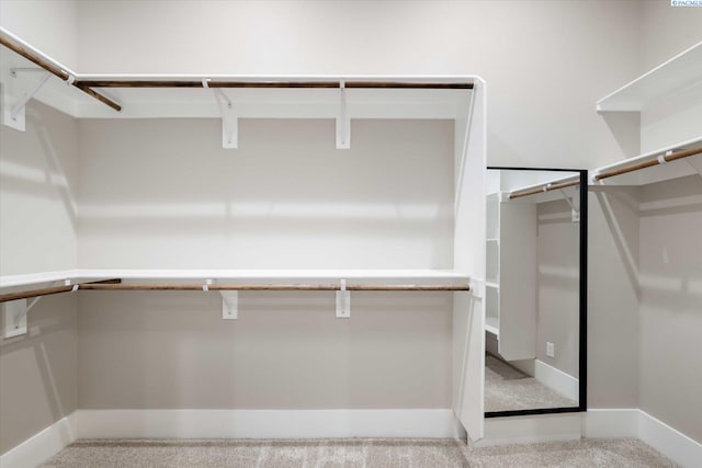 4402 Everett St, West Richland, WA 99353 - spacious closet featuring light carpet