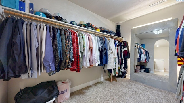 5802 Sidon Ln, Pasco, WA 99301 - walk in closet with carpet flooring and arched walkways