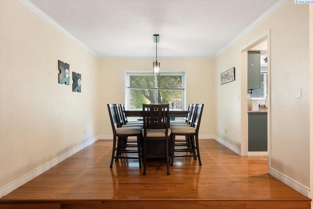 4109 W 18th Ave, Kennewick, WA 99336 - photo 10