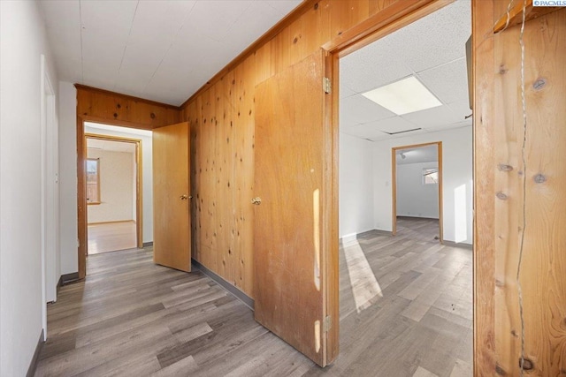 hall featuring a paneled ceiling, baseboards, wood walls, and light wood finished floors