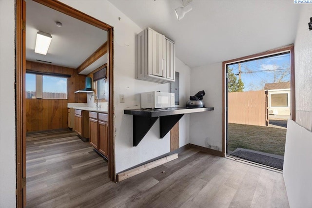 kitchen featuring dark wood-style flooring, a healthy amount of sunlight, a sink, and white microwave