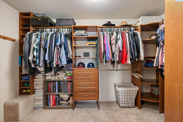 200 High Meadows St, Richland, WA 99352 - spacious closet featuring carpet flooring