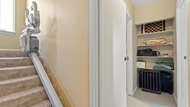 805 W 44th Pl, Kennewick, WA 99337 - interior space featuring carpet flooring and baseboards