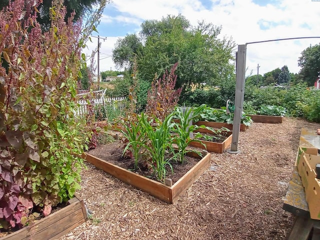 view of yard with a vegetable garden