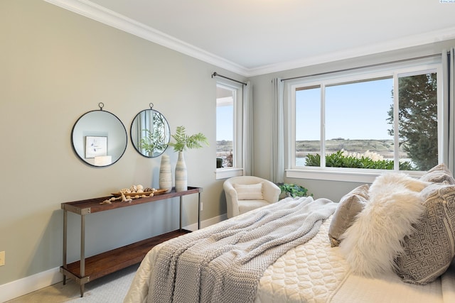 bedroom featuring ornamental molding