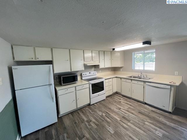 1020 Wright Ave, Richland, WA 99354 - photo 9