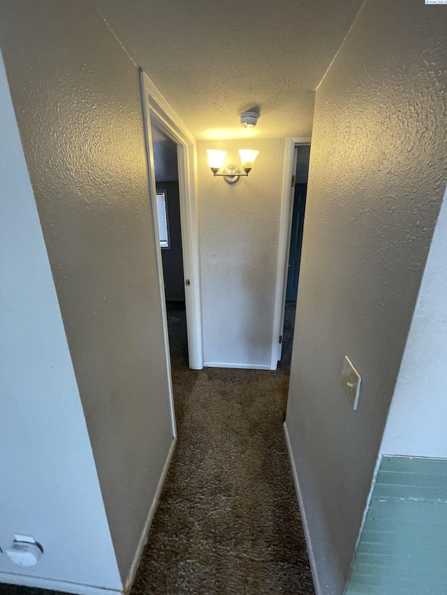 1020 Wright Ave, Richland, WA 99354 - photo 36