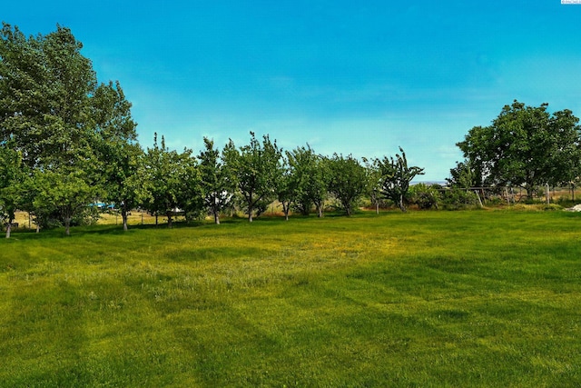 211028 E Terril Rd, Kennewick, WA 99337 - photo 8