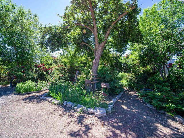 51306 N Whan Rd, Benton City, WA 99320 - photo 37