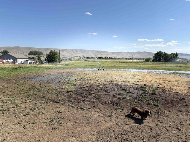 15440 W Johnson Rd, Prosser, WA 99350 - view of yard with a view of rural / pastoral area and a mountain view