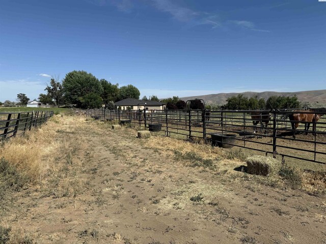 15440 W Johnson Rd, Prosser, WA 99350 - view of yard with a view of countryside and an exterior structure