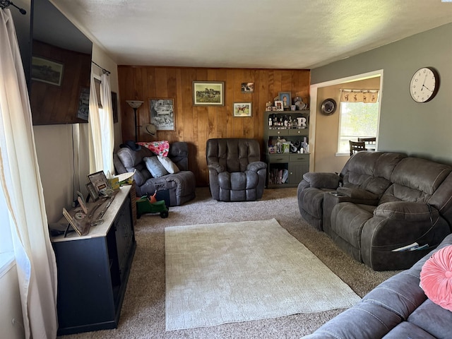 15440 W Johnson Rd, Prosser, WA 99350 - carpeted living area featuring wood walls