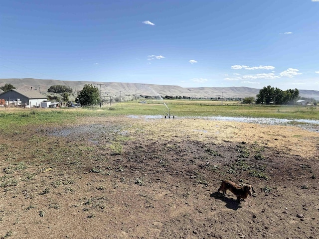 15440 W Johnson Rd, Prosser, WA 99350 - view of yard with a view of rural / pastoral area and a mountain view