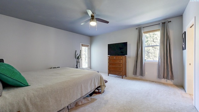 403 Adair Dr, Richland, WA 99352 - photo 17