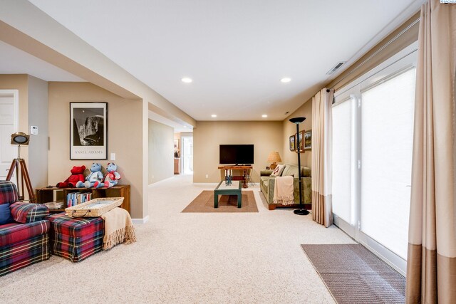 920 SW Alcora Dr, Pullman, WA 99163 - photo 25