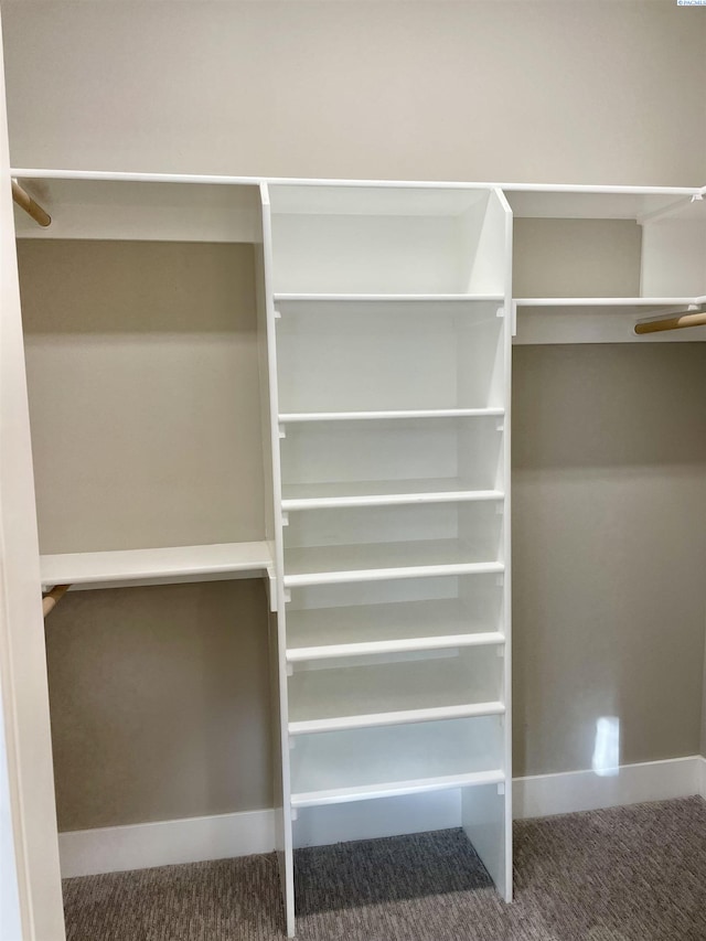 spacious closet featuring carpet and ceiling fan