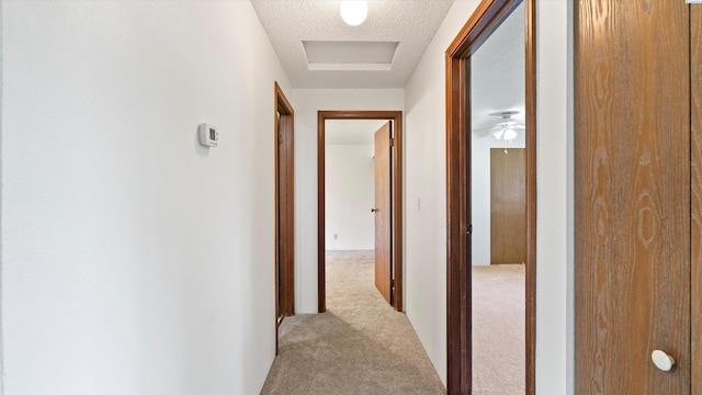 5456 Fern Loop, West Richland, WA 99352 - corridor with carpet flooring and a textured ceiling