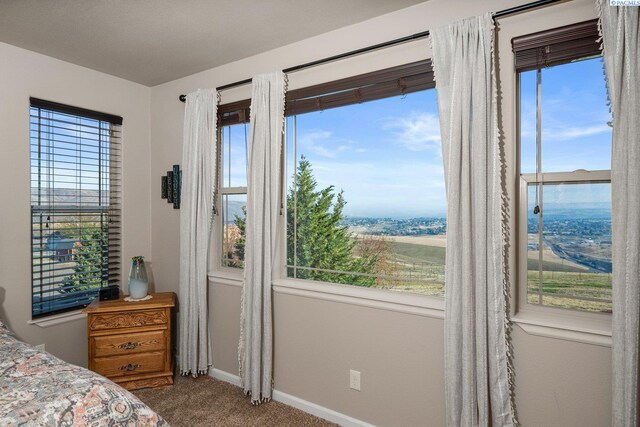 999 Amity Ln, Clarkston, WA 99403 - photo 20