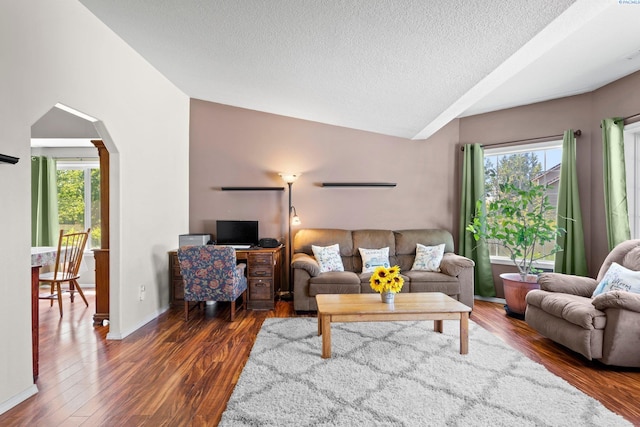 living room featuring vaulted ceiling, dark hardwood / wood-style floors, a wealth of natural light, and a textured ceiling