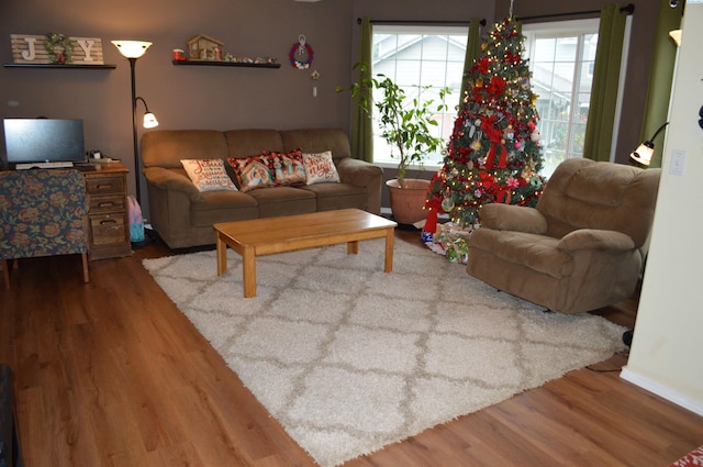 living room featuring hardwood / wood-style floors