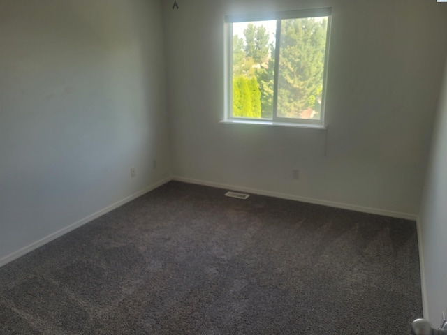 9807 Balflour Dr, Pasco, WA 99301 - photo 45