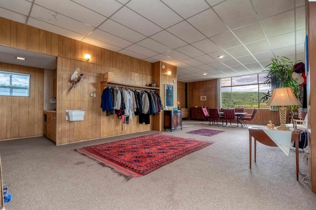interior space featuring carpet, wooden walls, and a closet