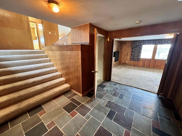 interior space featuring stone tile flooring, carpet flooring, and wood walls