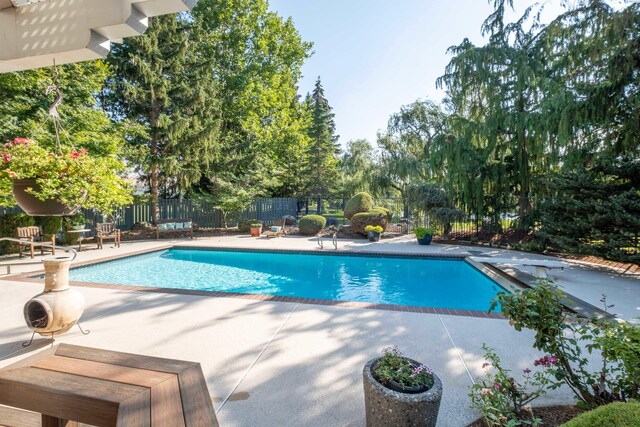 view of swimming pool with a diving board and a patio