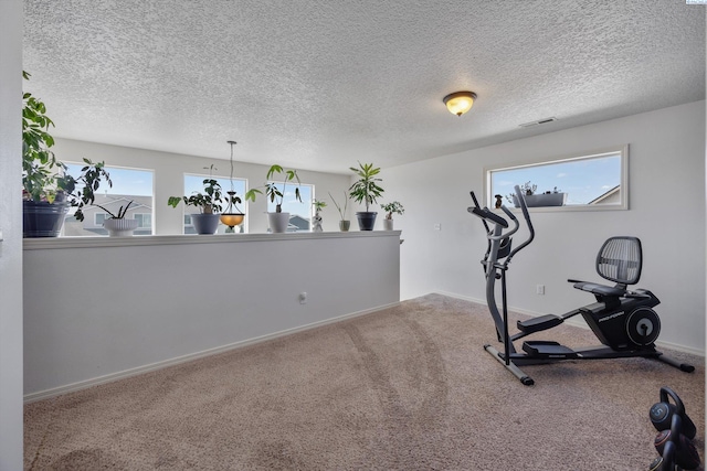 6115 Wildcat Ln, Pasco, WA 99301 - exercise area featuring baseboards, carpet flooring, a textured ceiling, and visible vents