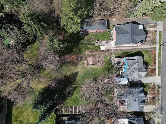 525 SE Water St, Pullman, WA 99163 - birds eye view of property