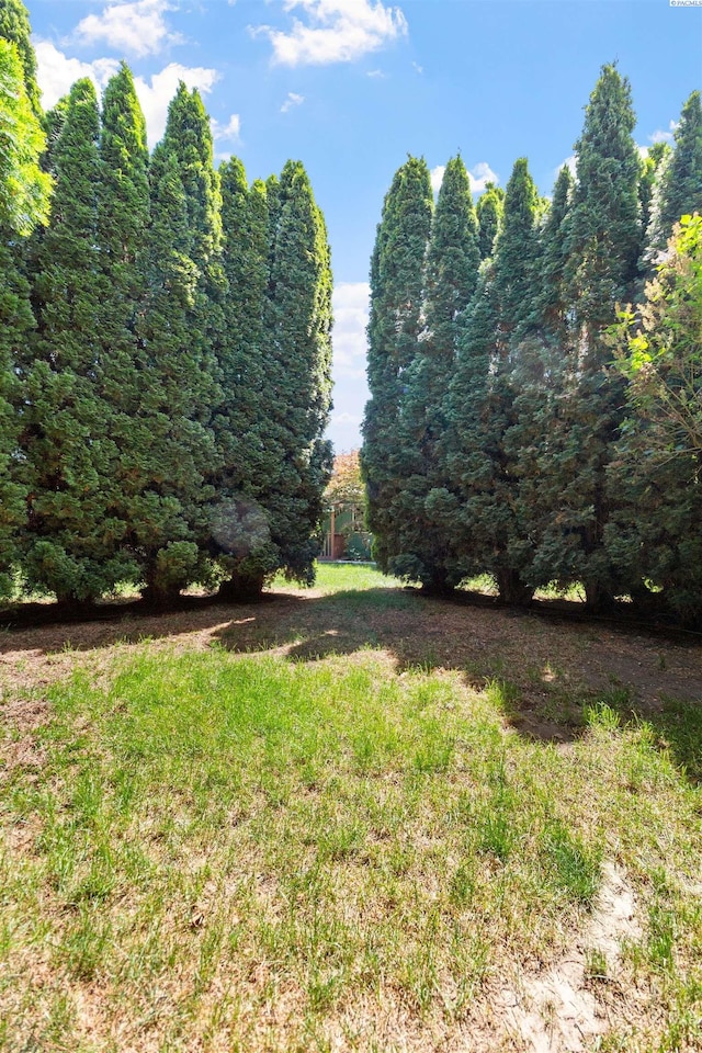 4500 S Dayton Ct, Kennewick, WA 99337 - view of yard featuring a forest view