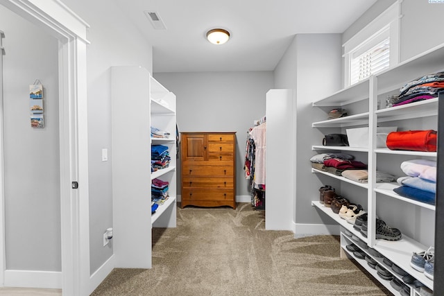 walk in closet with carpet flooring