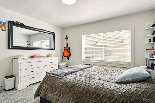 1006 Adams St, Richland, WA 99352 - bedroom featuring light carpet