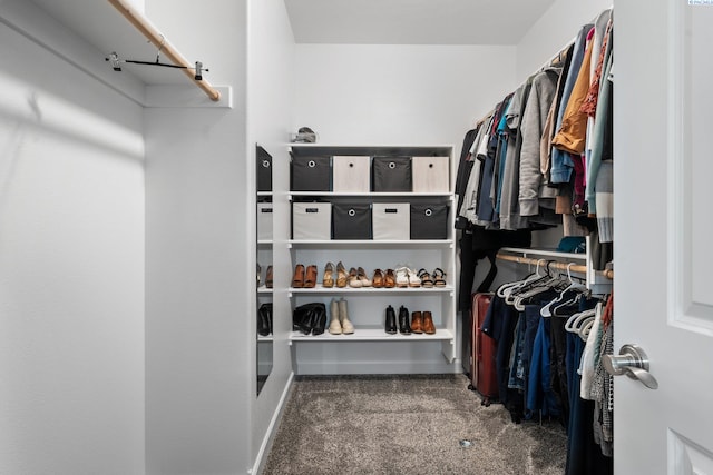 spacious closet with carpet flooring