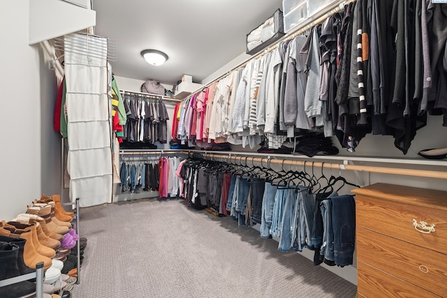 6416 Recurve Rd, Pasco, WA 99301 - spacious closet with carpet flooring
