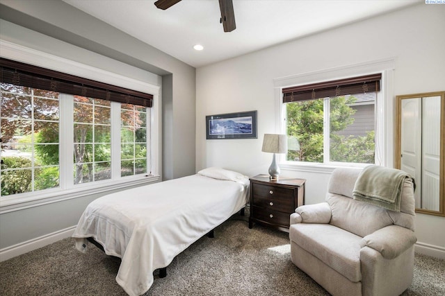 1010 Christopher Ln, Pasco, WA 99301 - bedroom featuring multiple windows, carpet, and baseboards