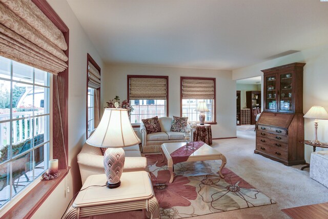3114 Rd 103, Pasco, WA 99301 - living room featuring light carpet and a wealth of natural light
