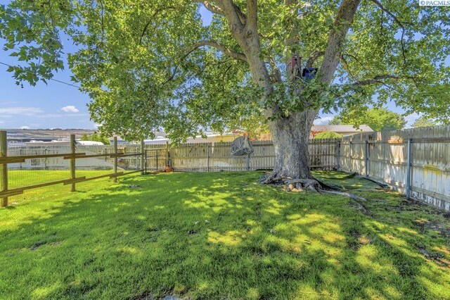 141 Travis Ln, Kennewick, WA 99338 - view of fenced backyard