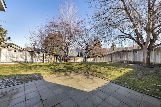 view of yard with a patio area and a fenced backyard