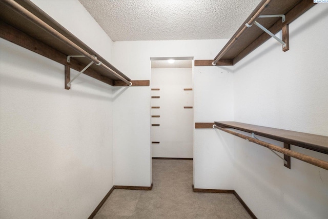 2315 Towhee Ln, West Richland, WA 99353 - photo 23
