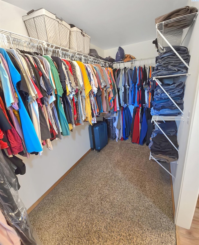 spacious closet featuring carpet floors