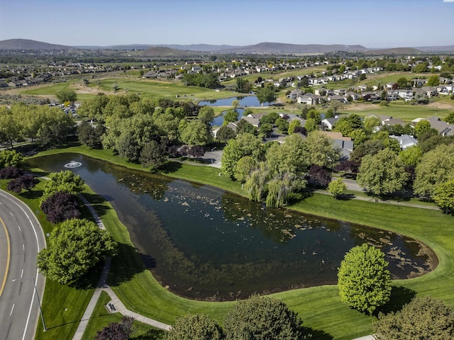 2730 Sawgrass Loop, Richland, WA 99354 - photo 48