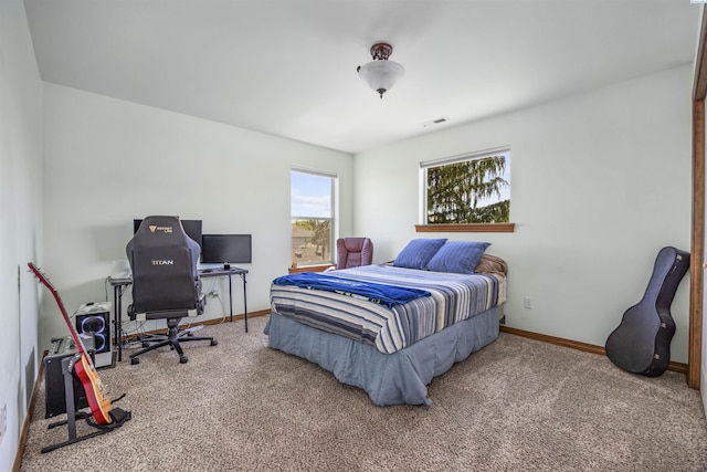 2730 Sawgrass Loop, Richland, WA 99354 - photo 31