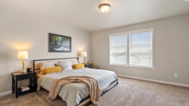 8215 Cardinal Peak St, West Richland, WA 99353 - photo 21