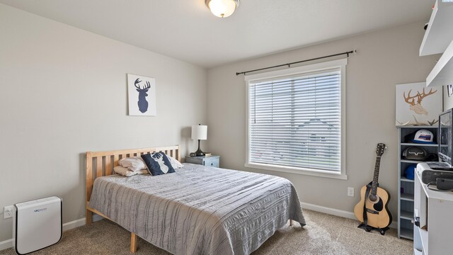 8215 Cardinal Peak St, West Richland, WA 99353 - photo 34