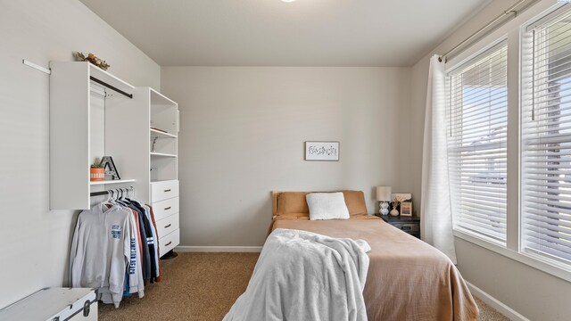 8215 Cardinal Peak St, West Richland, WA 99353 - photo 6