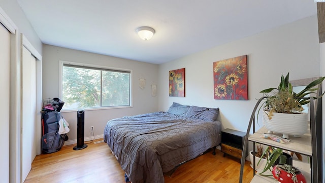 220 E Cannon, Palouse, WA 99161 - bedroom featuring wood finished floors and a closet