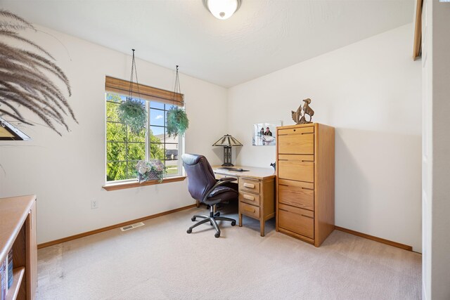 5211 W Paddington Ln, Pasco, WA 99301 - photo 14