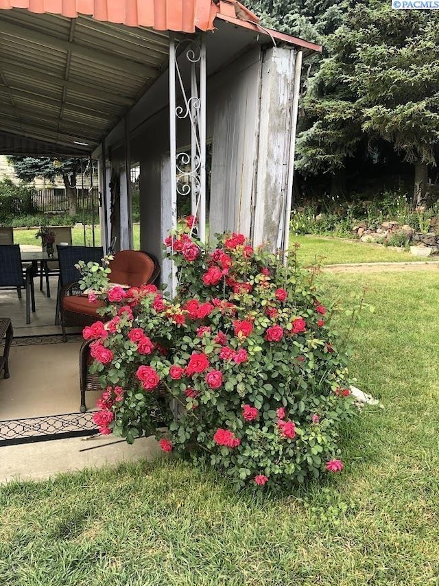 view of yard featuring a patio