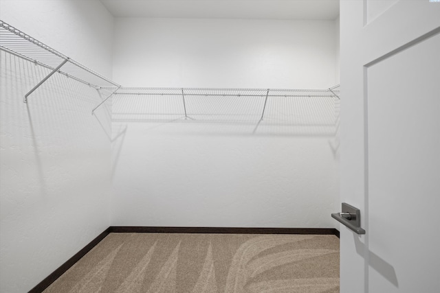 6701 Sockeye Ln, Pasco, WA 99301 - spacious closet featuring carpet